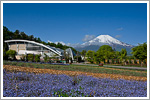 花の都公園